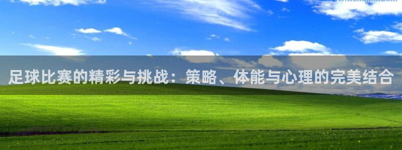 足球比赛的精彩与挑战：策略、体能与心