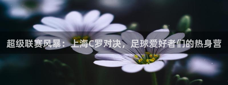 超级联赛风暴：上海C罗对决，足球爱好