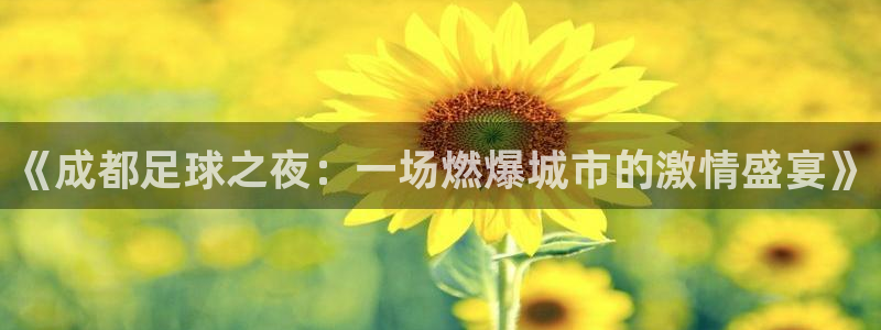 《成都足球之夜：一场燃爆城市的激情盛宴》