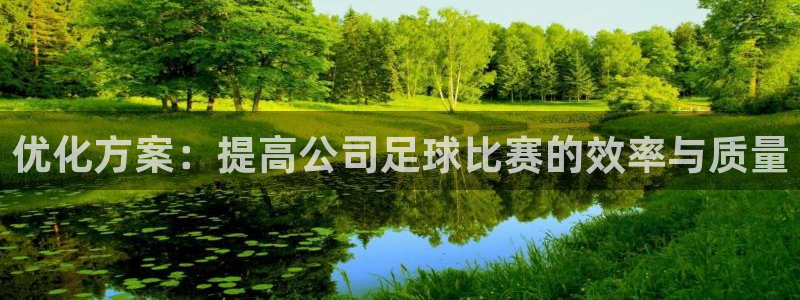  优化方案：提高公司足球比赛的效率与质量