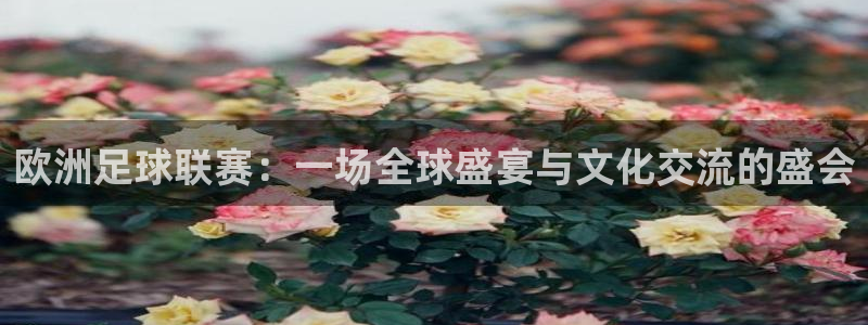  欧洲足球联赛：一场全球盛宴与文化交流的盛会