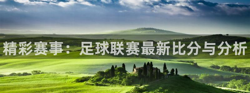  精彩赛事：足球联赛最新比分与分析