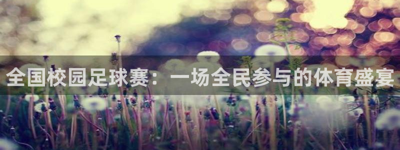 全国校园足球赛：一场全民参与的体育盛宴