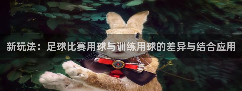  新玩法：足球比赛用球与训练用球的差异与结合应用