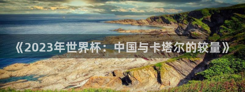 《2023年世界杯：中国与卡塔尔的较量》