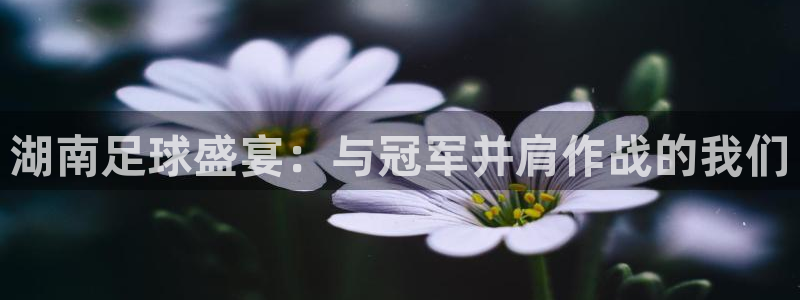  湖南足球盛宴：与冠军并肩作战的我们
