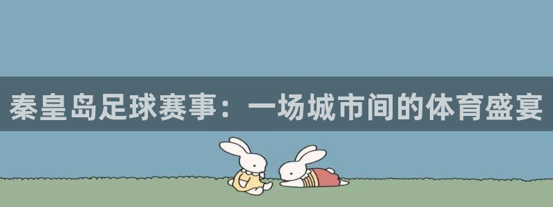 秦皇岛足球赛事：一场城市间的体育盛宴