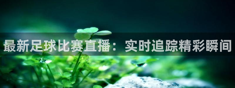  最新足球比赛直播：实时追踪精彩瞬间