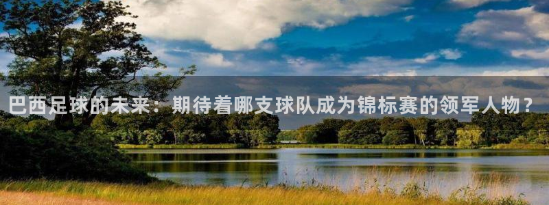  巴西足球的未来：期待着哪支球队成为锦标赛的领军人物？