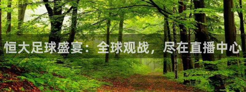  恒大足球盛宴：全球观战，尽在直播中心