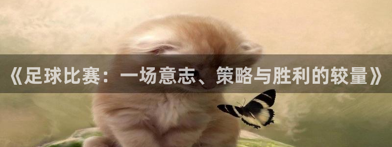  《足球比赛：一场意志、策略与胜利的较量》