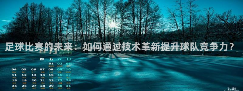  足球比赛的未来：如何通过技术革新提升球队竞争力？