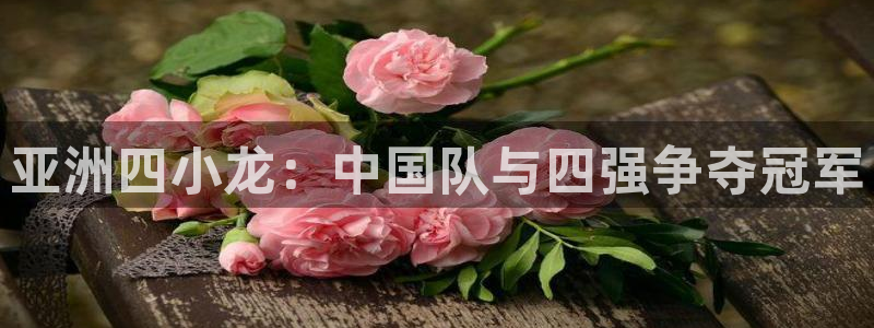 亚洲四小龙：中国队与四强争夺冠军