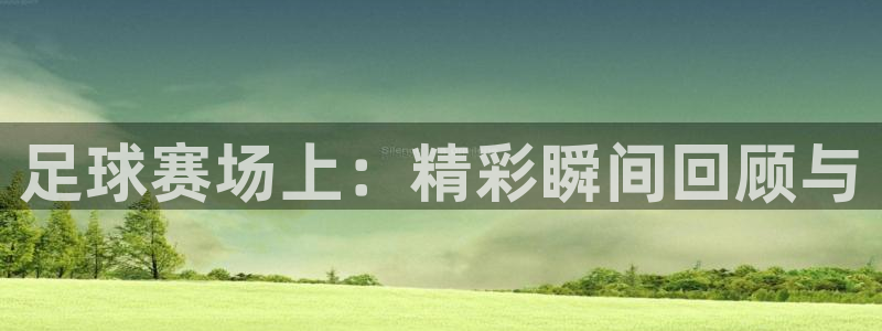  足球赛场上：精彩瞬间回顾与