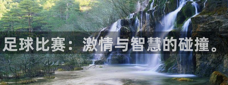  足球比赛：激情与智慧的碰撞。