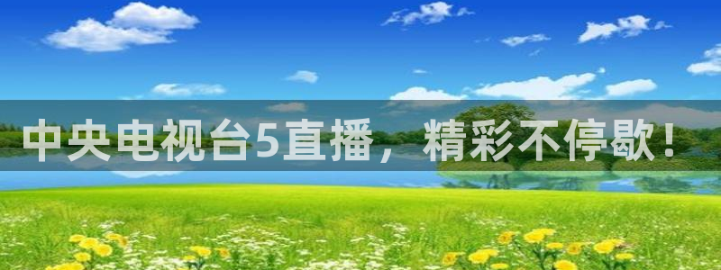 nba直播雨燕360平台：中央电视台5直播，精彩不停歇！