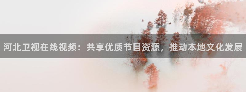 足球直播平台雨燕：河北卫视在线视频：共享优质节目资源，推动本地文化发展