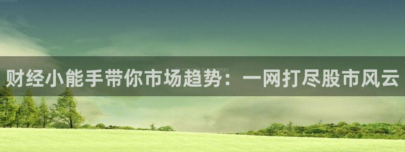 雨燕直播篮球：财经小能手带你市场趋势：一网打尽股市风云