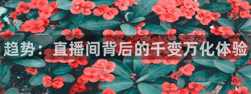 nba直播雨燕直播：趋势：直播间背后的千变万化体验