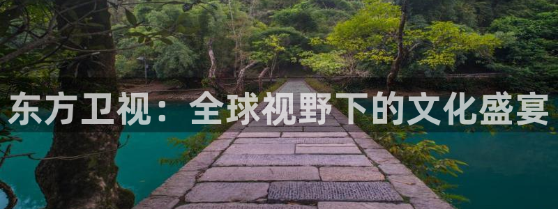 雨燕足球直播高清直播：东方卫视：全球视野下的文化盛宴