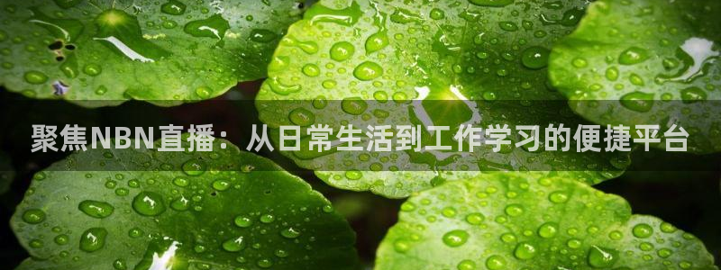 cc雨燕直播体育平台：聚焦NBN直播：从日常生活到工作学习的便捷平台