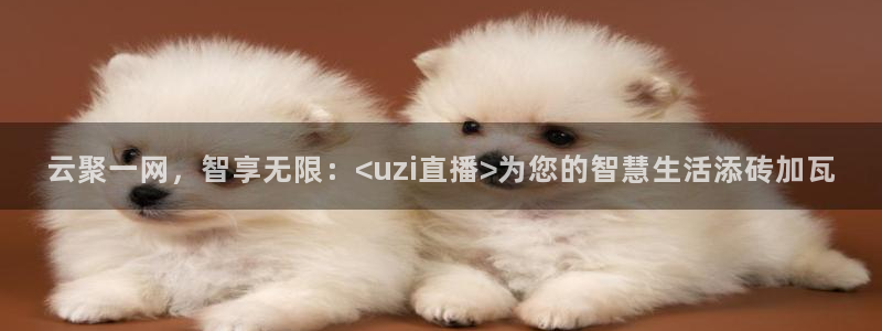 雨燕体育无插件高清直播nba：云聚一网，智享无限：<uzi直播>为您的智慧生活添砖加瓦