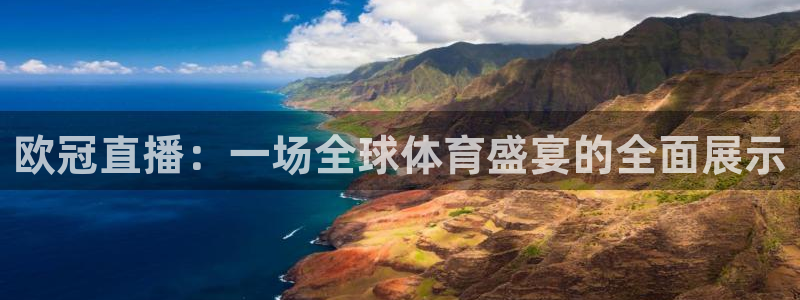 nba雨燕直播免费观看直播软件：欧冠直播：一场全球体育盛宴的全面展示