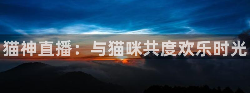 360足球网雨燕直播：猫神直播：与猫咪共度欢乐时光