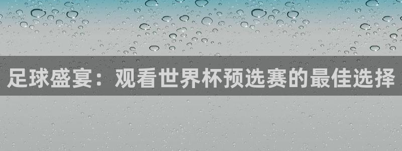 nba直播免费雨燕：足球盛宴：观看世界杯预选赛的最佳选择