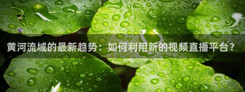 新360雨燕直播：黄河流域的最新趋势：如何利用新的视频直播平台？