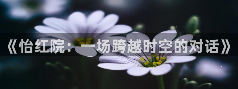 雨燕nba免费直播高清：《怡红院：一场跨越时空的对话》