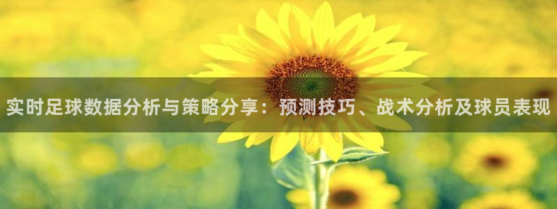 实时足球数据分析与策略分享：预测技巧