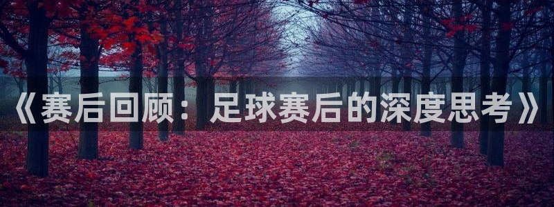 《赛后回顾：足球赛后的深度思考》