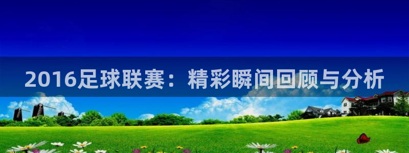 2016足球联赛：精彩瞬间回顾与分析