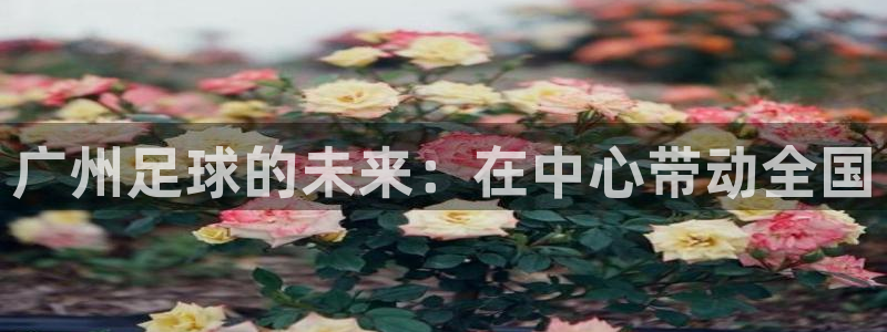 广州足球的未来：在中心带动全国
