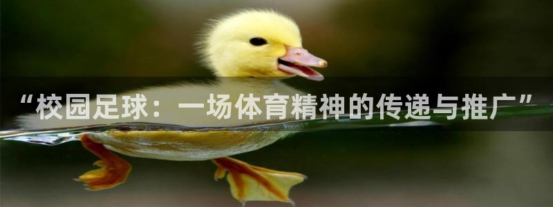“校园足球：一场体育精神的传递与推广