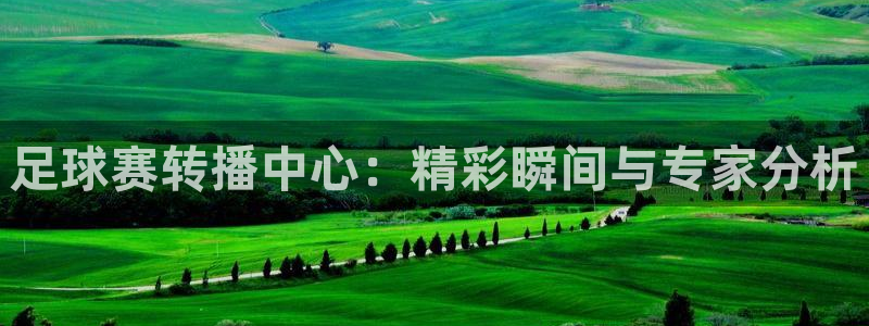 足球赛转播中心：精彩瞬间与专家分析