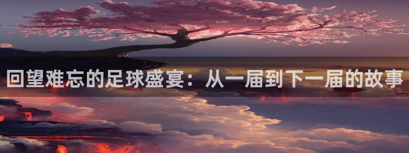 回望难忘的足球盛宴：从一届到下一届的故事