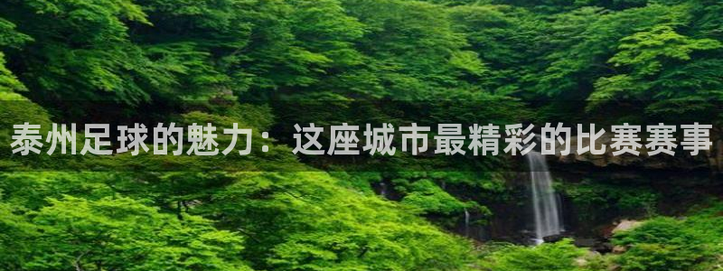  泰州足球的魅力：这座城市最精彩的比赛赛事