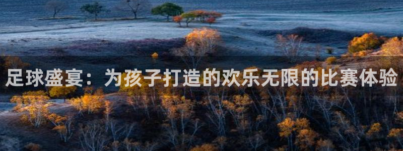  足球盛宴：为孩子打造的欢乐无限的比赛体验