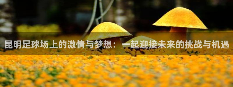  昆明足球场上的激情与梦想：一起迎接未来的挑战与机遇