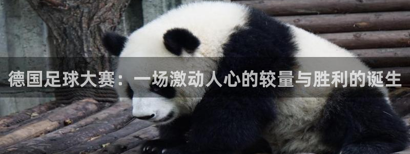德国足球大赛：一场激动人心的较量与胜利的诞生