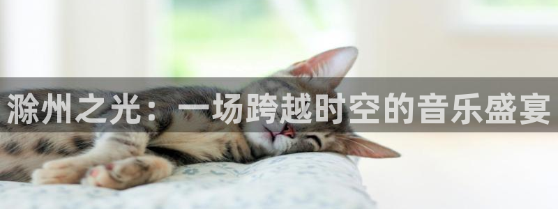 足球直播平台雨燕：滁州之光：一场跨越时空的音乐盛宴