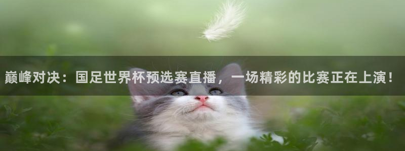 雨燕nba直播在线直播：巅峰对决：国足世界杯预选赛直播，一场精彩的比赛正在上演！