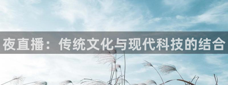360雨燕免费直播nba：夜直播：传统文化与现代科技的结合