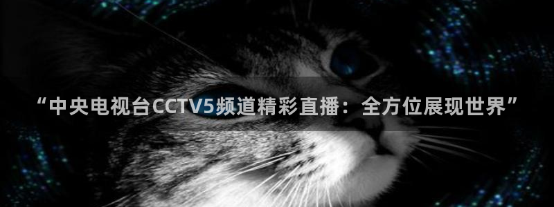 雨燕360体育直播高清完整版：“中央电视台CCTV5频道精彩直播：全方位展现世界”